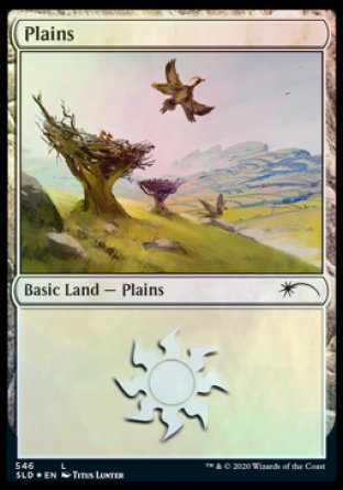 Plains (Feathered Friends) (546) [Secret Lair Drop Promos] | Card Merchant Takapuna