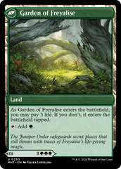 Disciple of Freyalise [Modern Horizons 3] | Card Merchant Takapuna