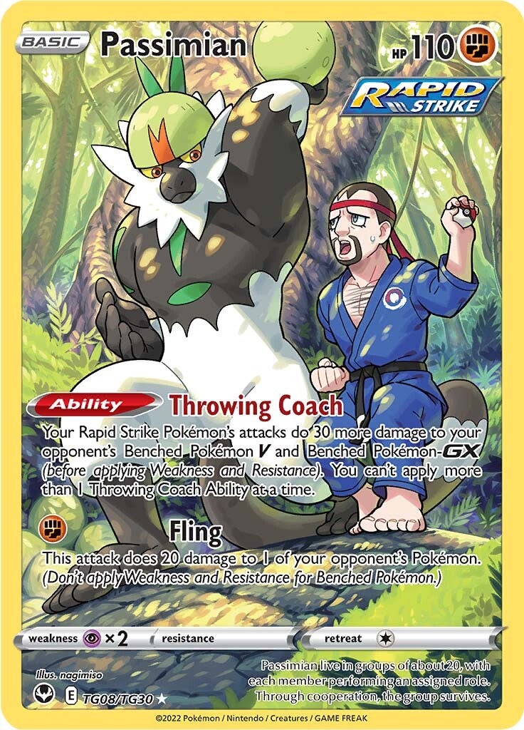 Passimian (TG08/TG30) [Sword & Shield: Silver Tempest] | Card Merchant Takapuna