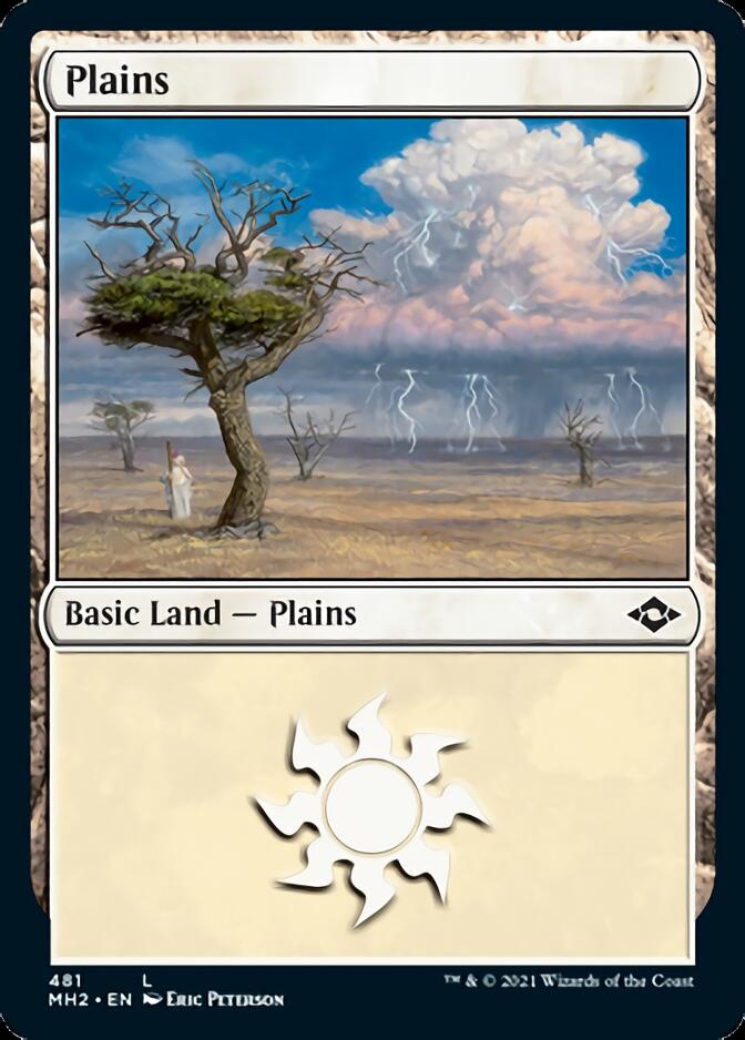 Plains (481) (Foil Etched) [Modern Horizons 2] | Card Merchant Takapuna