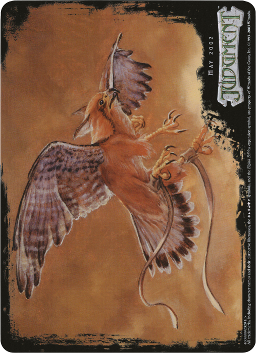 Suntail Hawk (Oversized) [Eighth Edition Box Topper] | Card Merchant Takapuna