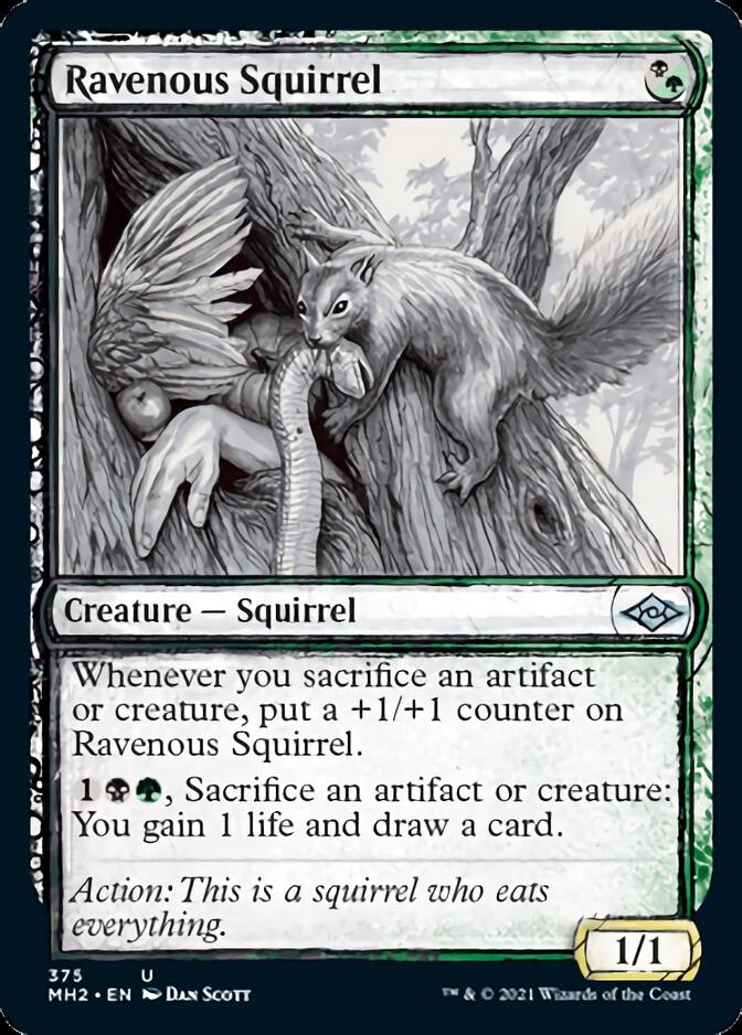 Ravenous Squirrel (Sketch) [Modern Horizons 2] | Card Merchant Takapuna