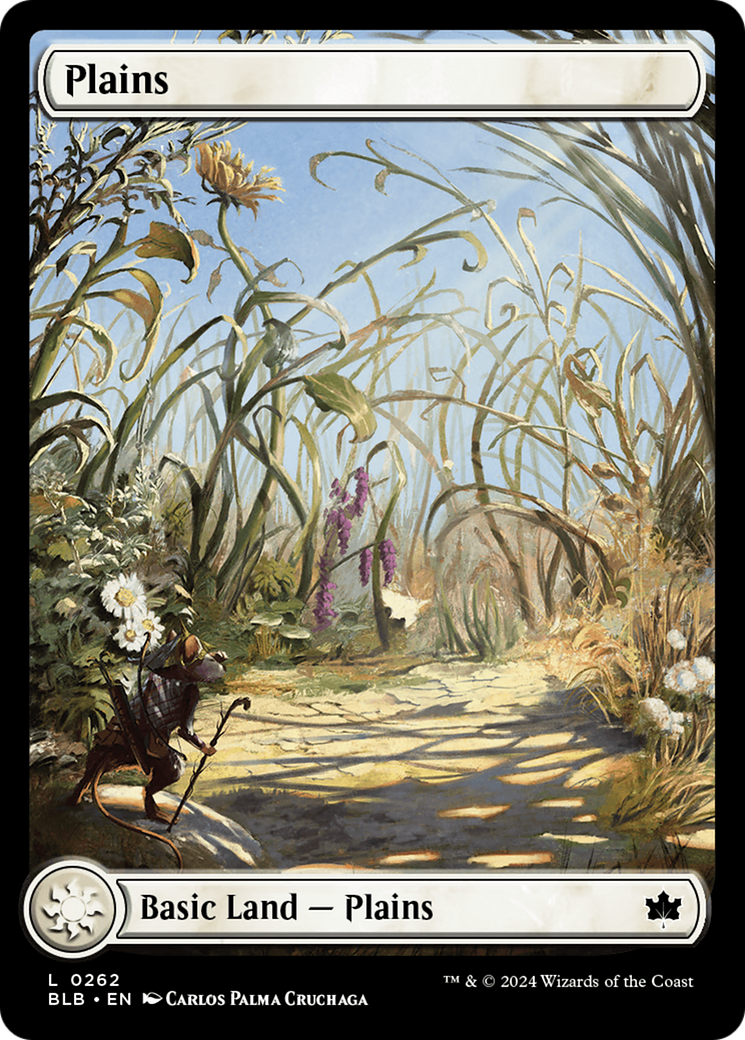 Plains (0262) [Bloomburrow] | Card Merchant Takapuna