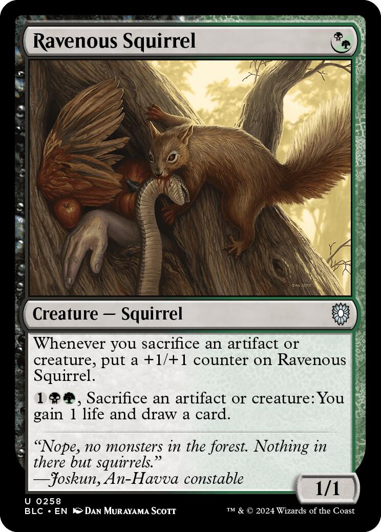 Ravenous Squirrel [Bloomburrow Commander] | Card Merchant Takapuna