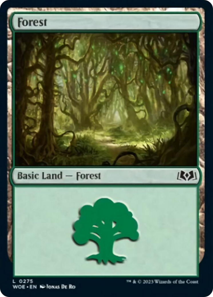 Forest (0275) [Wilds of Eldraine] | Card Merchant Takapuna