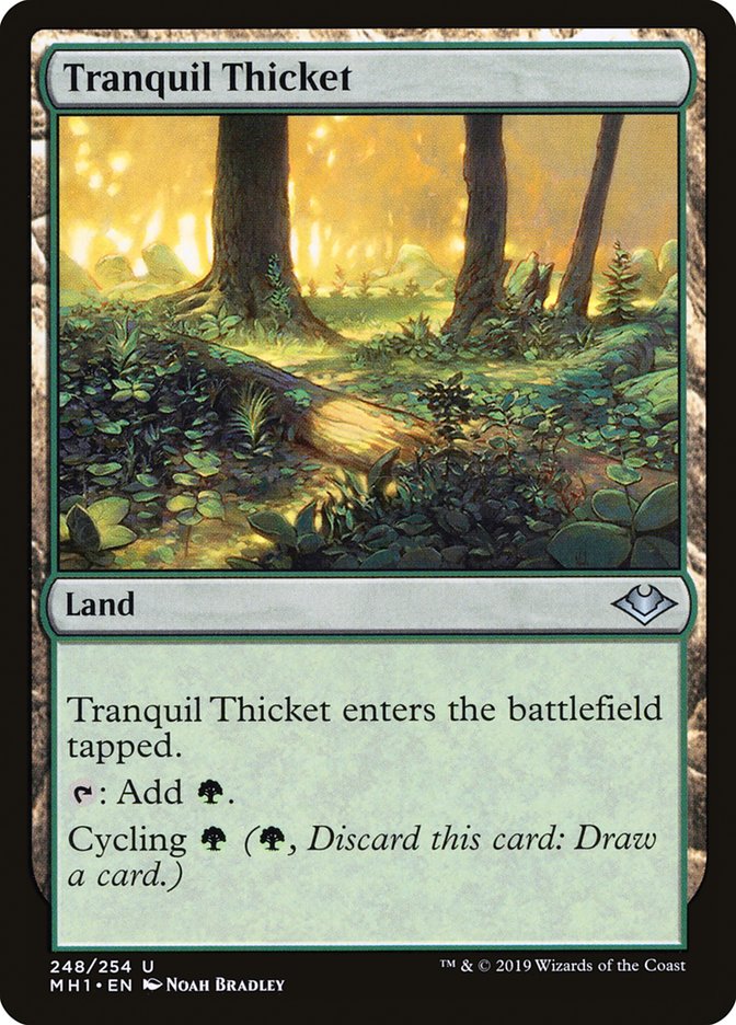 Tranquil Thicket [Modern Horizons] | Card Merchant Takapuna