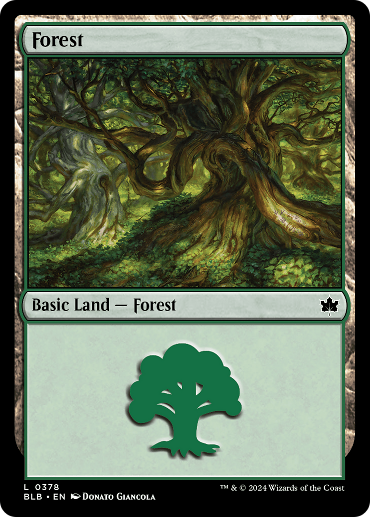 Forest (0378) [Bloomburrow] | Card Merchant Takapuna