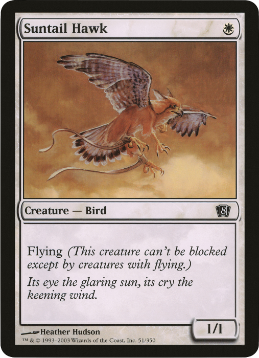 Suntail Hawk (Oversized) [Eighth Edition Box Topper] | Card Merchant Takapuna