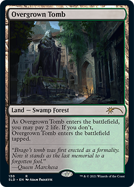 Overgrown Tomb [Secret Lair Drop Series] | Card Merchant Takapuna