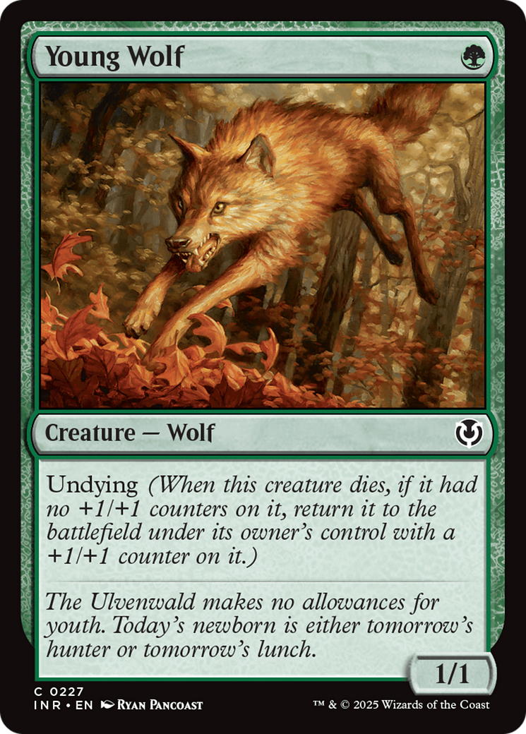 Young Wolf [Innistrad Remastered] | Card Merchant Takapuna