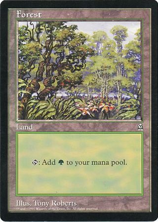 Forest (Oversized) [Oversize Cards] | Card Merchant Takapuna