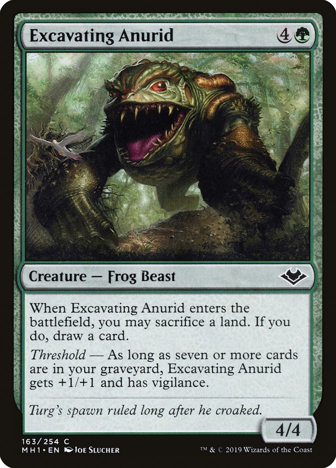 Excavating Anurid [Modern Horizons] | Card Merchant Takapuna