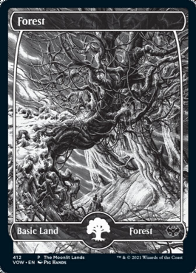 Forest (The Moonlit Lands) (Foil Etched) [Innistrad: Crimson Vow Promos] | Card Merchant Takapuna