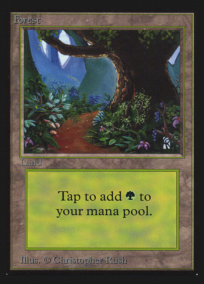 Forest (Flower Path) [International Collectors' Edition] | Card Merchant Takapuna