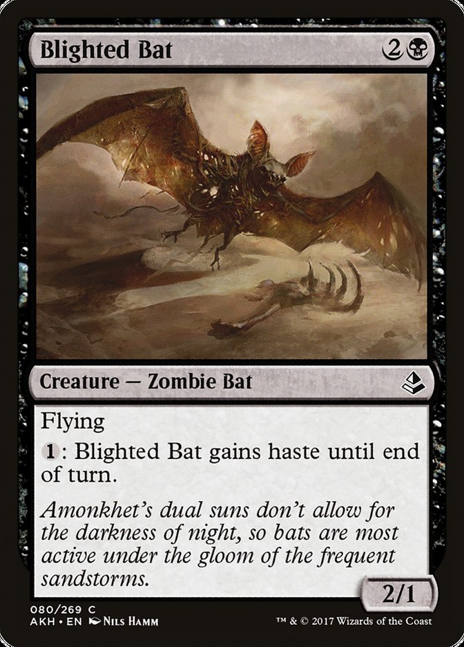 Blighted Bat [Amonkhet] | Card Merchant Takapuna