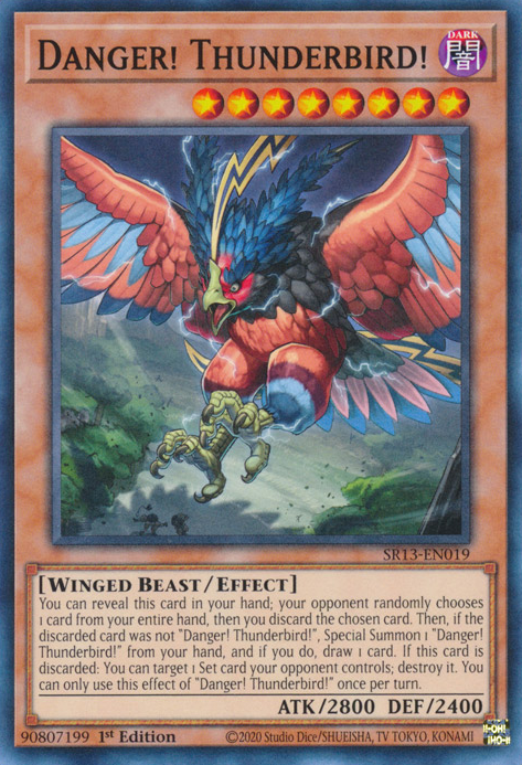 Danger! Thunderbird! [SR13-EN019] Common | Card Merchant Takapuna