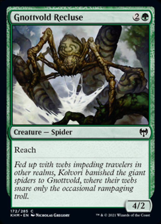 Gnottvold Recluse [Kaldheim] | Card Merchant Takapuna