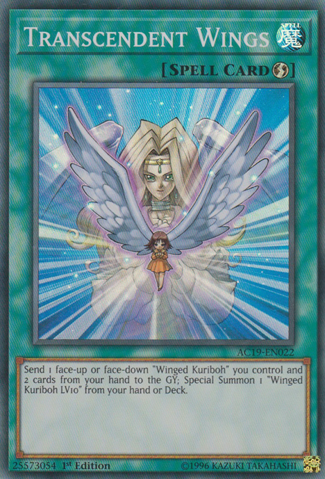 Transcendent Wings [AC19-EN022] Super Rare | Card Merchant Takapuna