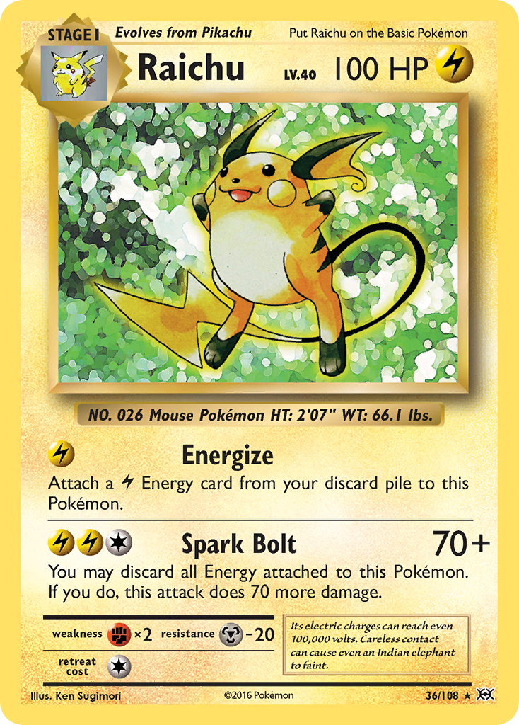 Raichu (36/108) [XY: Evolutions] | Card Merchant Takapuna