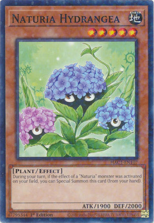 Naturia Hydrangea (Duel Terminal) [HAC1-EN107] Common | Card Merchant Takapuna