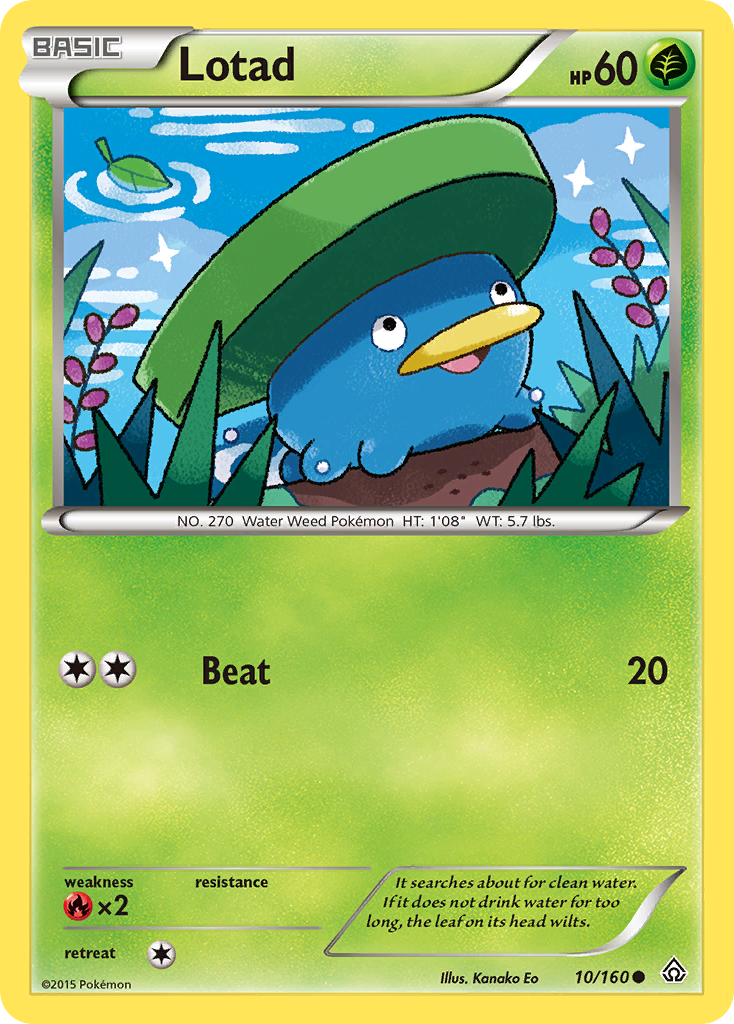 Lotad (10/160) [XY: Primal Clash] | Card Merchant Takapuna