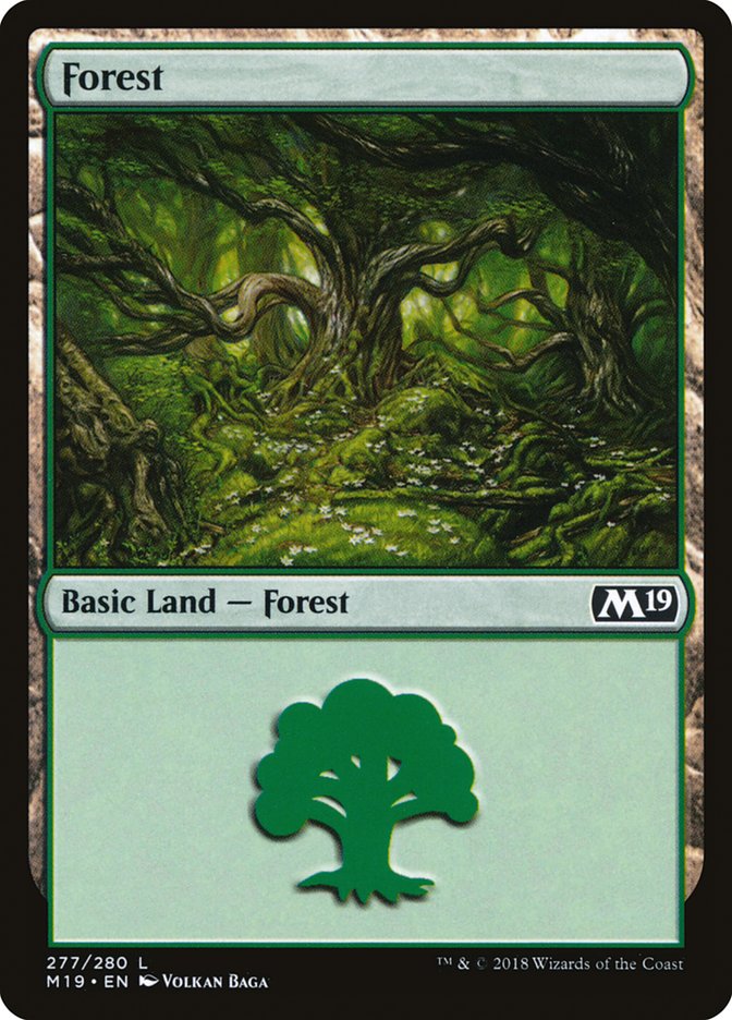 Forest (277) [Core Set 2019] | Card Merchant Takapuna