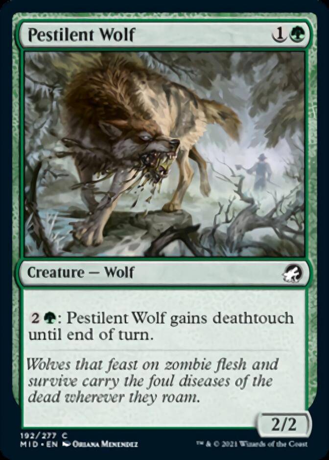 Pestilent Wolf [Innistrad: Midnight Hunt] | Card Merchant Takapuna