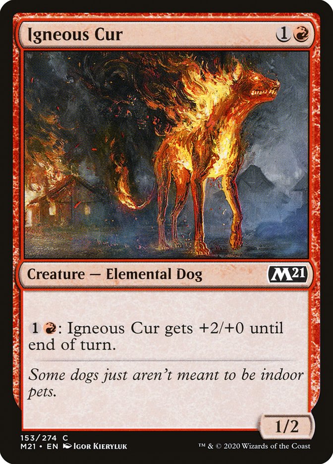 Igneous Cur [Core Set 2021] | Card Merchant Takapuna