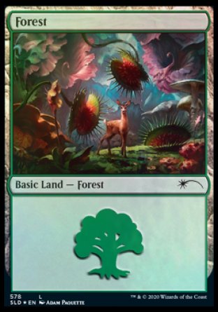 Forest (Predatory) (578) [Secret Lair Drop Promos] | Card Merchant Takapuna