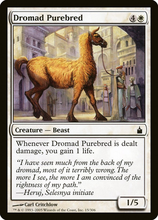 Dromad Purebred [Ravnica: City of Guilds] | Card Merchant Takapuna