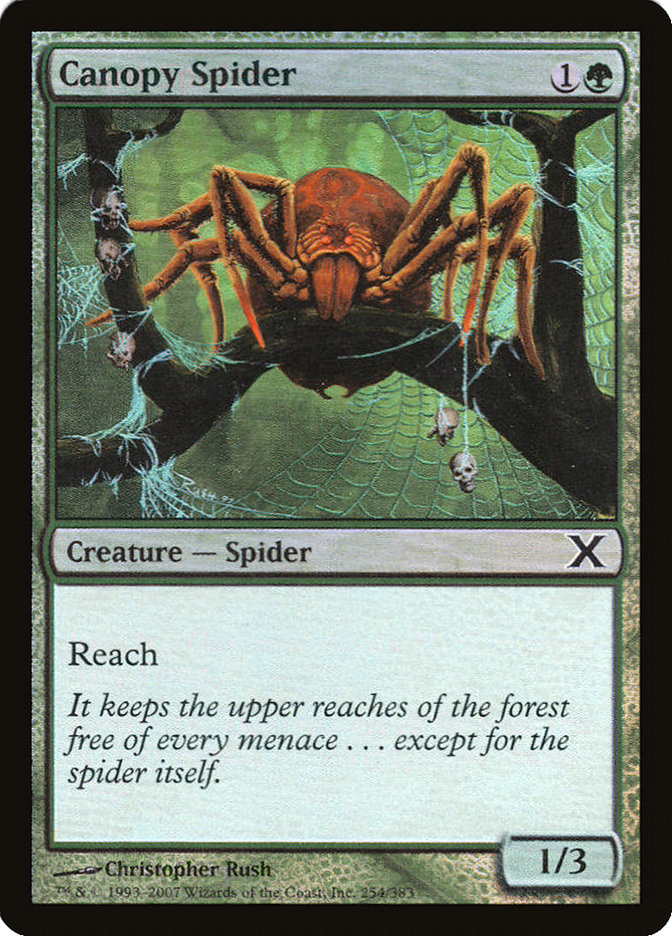 Canopy Spider (Premium Foil) [Tenth Edition] | Card Merchant Takapuna