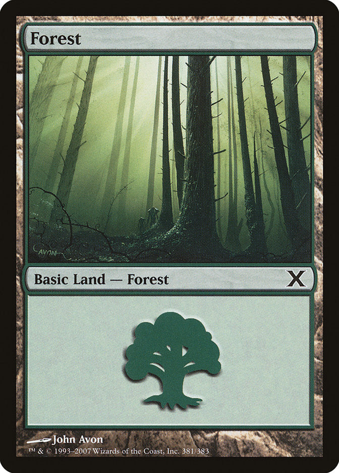 Forest (381) [Tenth Edition] | Card Merchant Takapuna