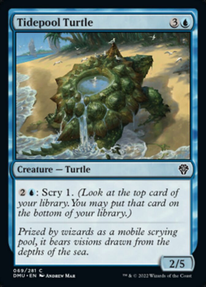 Tidepool Turtle [Dominaria United] | Card Merchant Takapuna