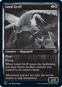 Loyal Gryff [Innistrad: Double Feature] | Card Merchant Takapuna