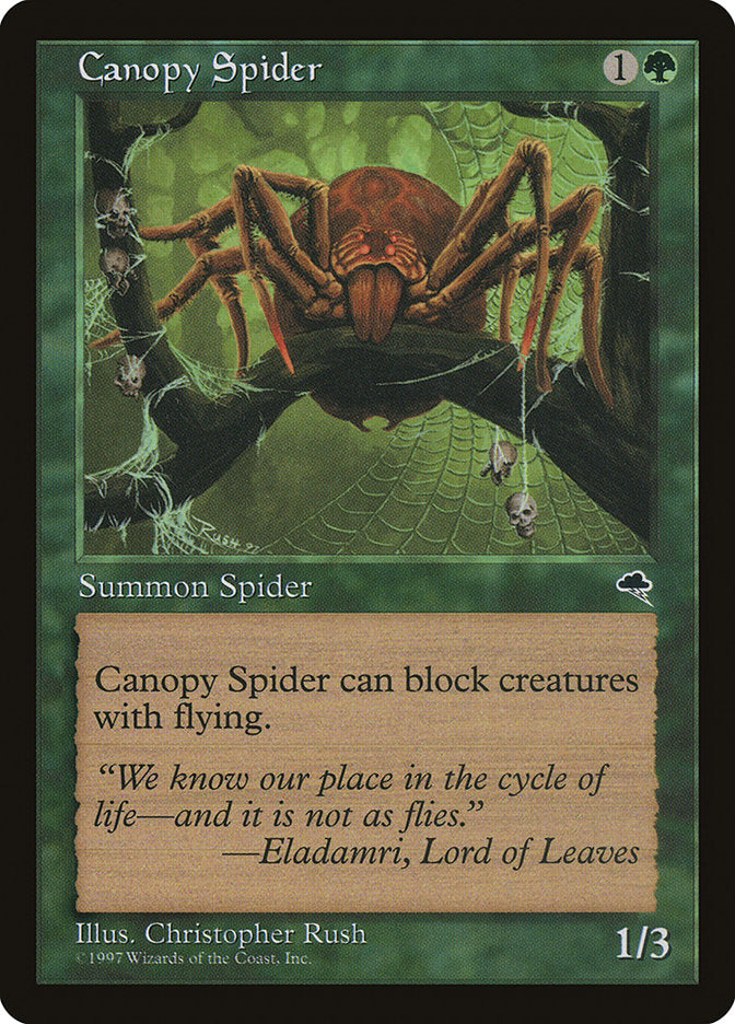 Canopy Spider [Tempest] | Card Merchant Takapuna