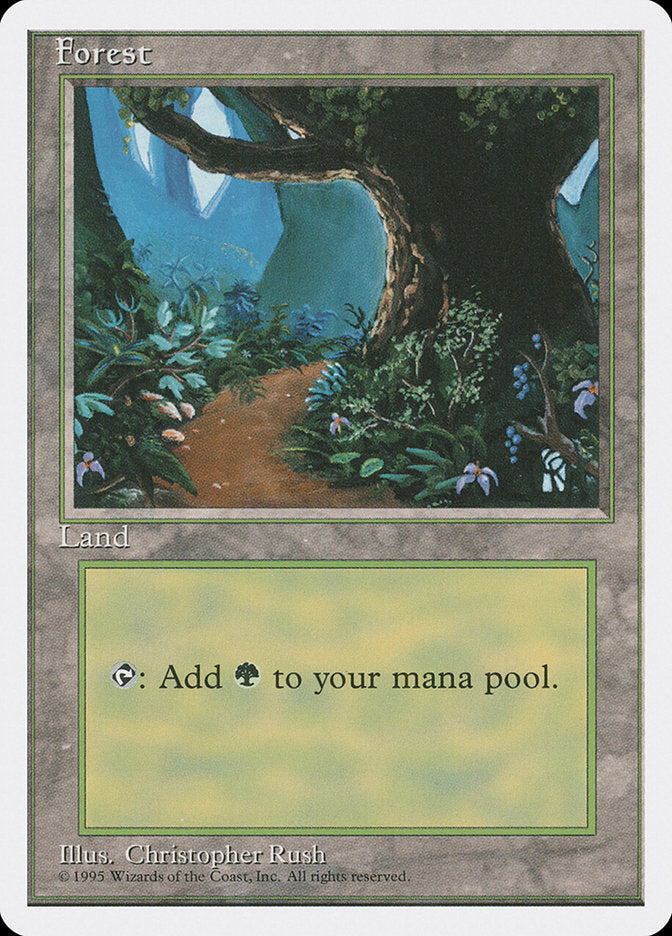 Forest (Flower Path) [Fourth Edition] | Card Merchant Takapuna