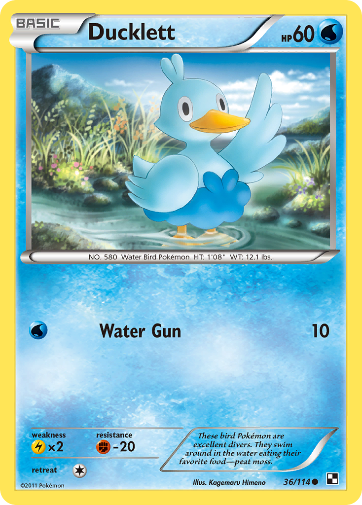 Ducklett (36/114) [Black & White: Base Set] | Card Merchant Takapuna