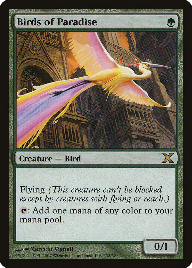 Birds of Paradise [Tenth Edition] | Card Merchant Takapuna