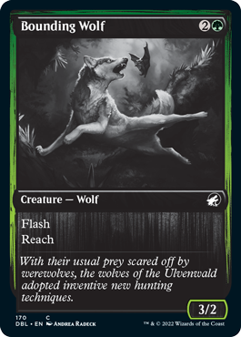 Bounding Wolf [Innistrad: Double Feature] | Card Merchant Takapuna