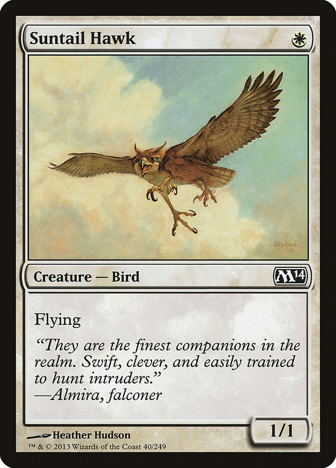 Suntail Hawk [Magic 2014] | Card Merchant Takapuna