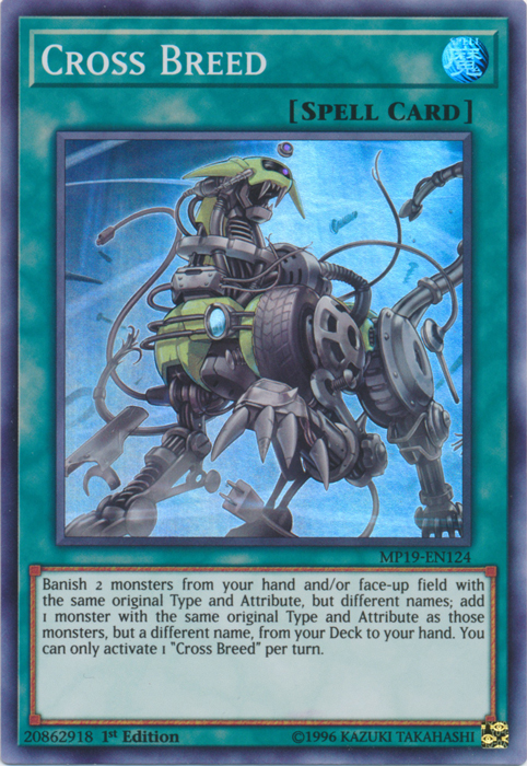 Cross Breed [MP19-EN124] Super Rare | Card Merchant Takapuna