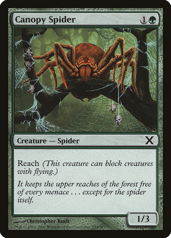 Canopy Spider [Tenth Edition] | Card Merchant Takapuna