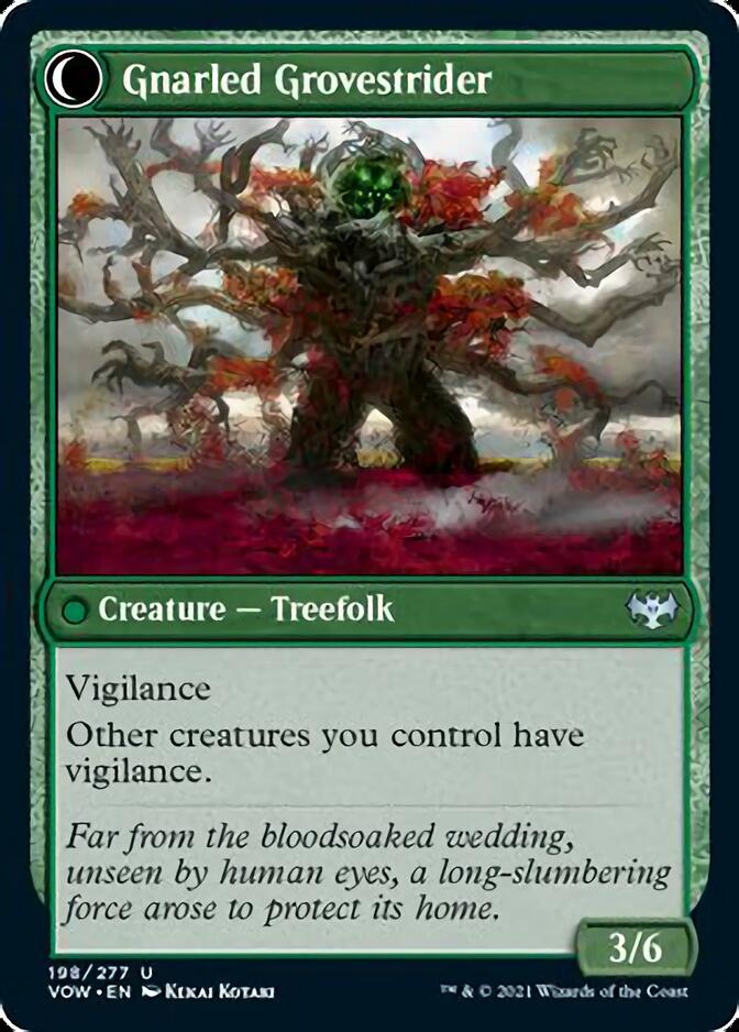 Dormant Grove // Gnarled Grovestrider [Innistrad: Crimson Vow] | Card Merchant Takapuna