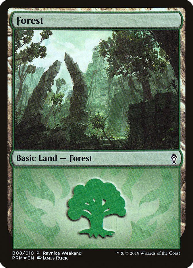 Forest (B08) [Ravnica Allegiance Guild Kit] | Card Merchant Takapuna