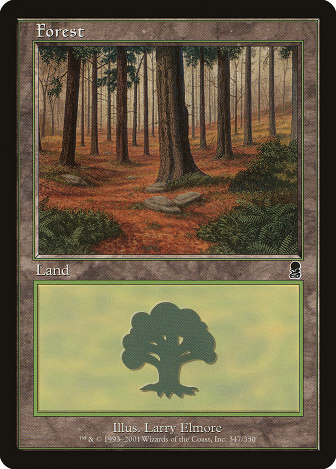 Forest (347) [Odyssey] | Card Merchant Takapuna