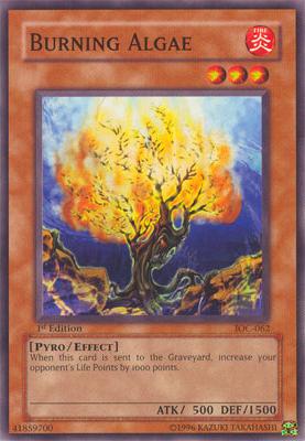 Burning Algae [IOC-062] Common | Card Merchant Takapuna