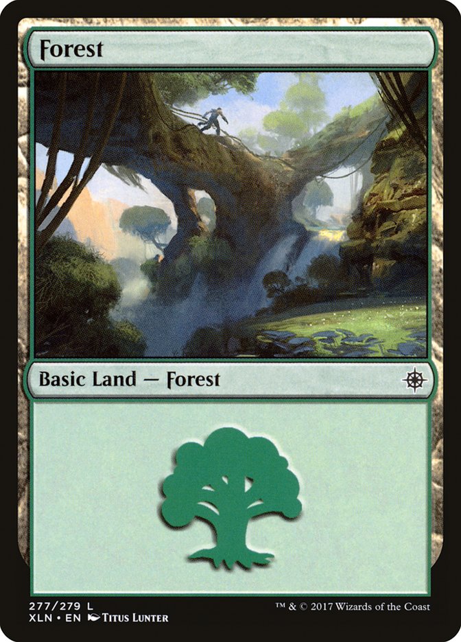 Forest (277) [Ixalan] | Card Merchant Takapuna