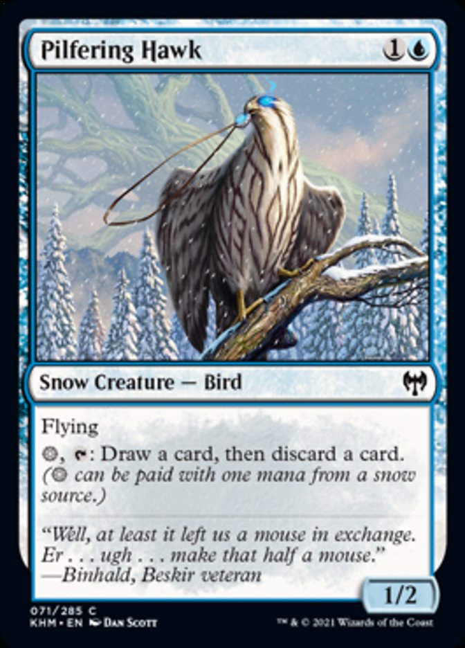 Pilfering Hawk [Kaldheim] | Card Merchant Takapuna