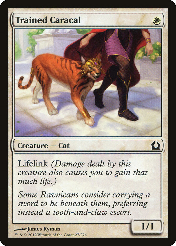 Trained Caracal [Return to Ravnica] | Card Merchant Takapuna