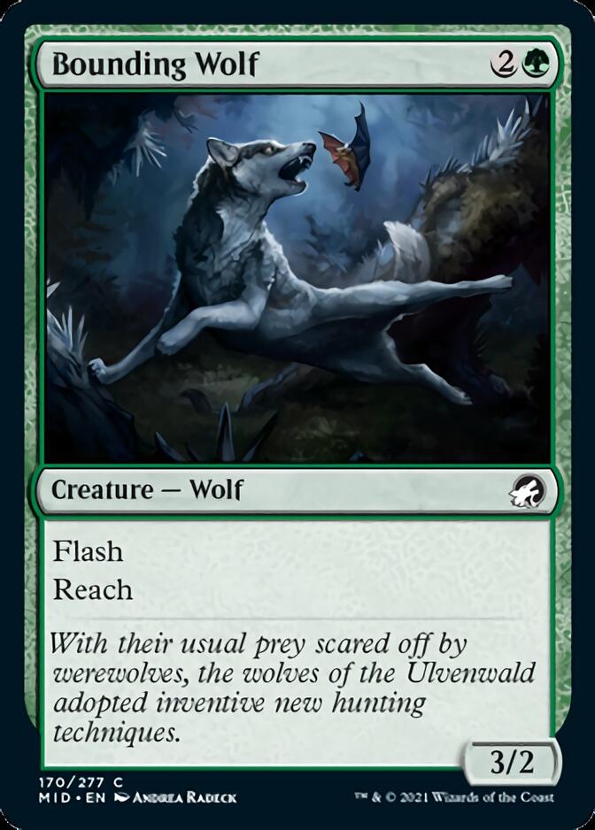 Bounding Wolf [Innistrad: Midnight Hunt] | Card Merchant Takapuna